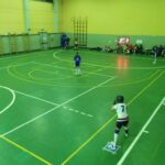 Softball:Pubblicato il Protocollo di comportamento per l’allenamento indoor