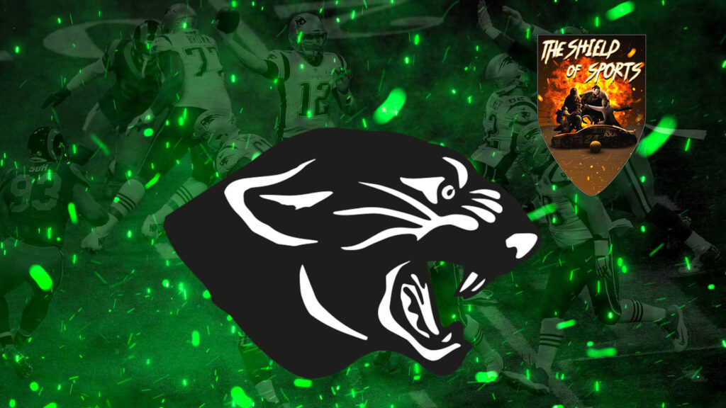 Panthers: La semifinale coi Guelfi al Tardini!