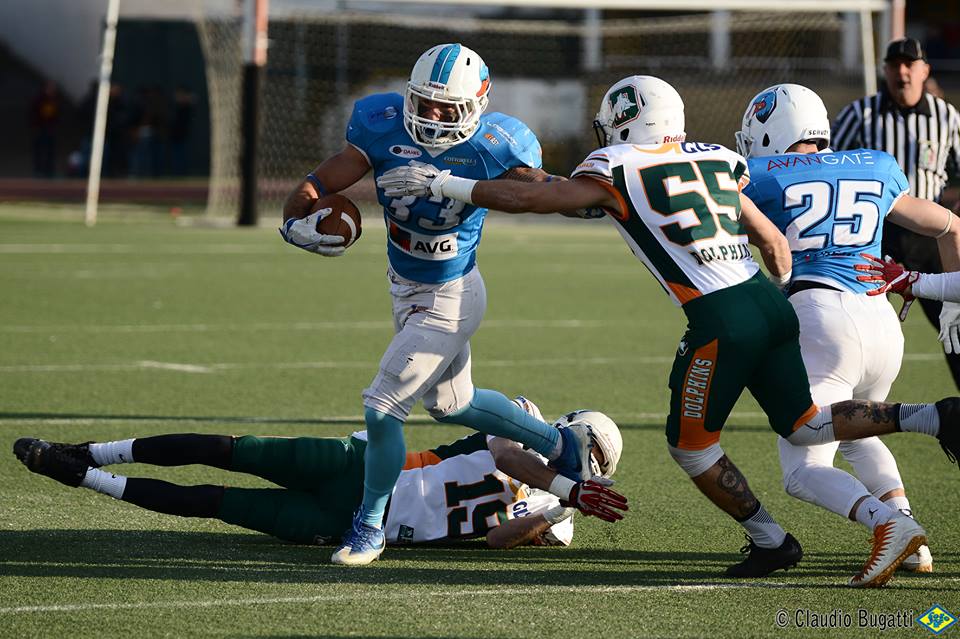 Dolphins: è giunto il momento di tornare in campo