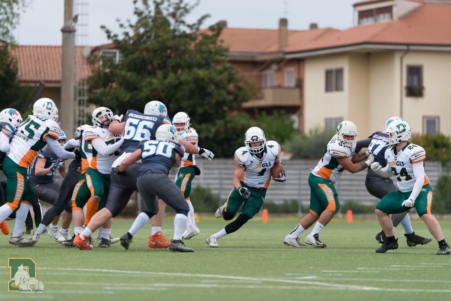 Dolphins da applausi. Inizio folgorante