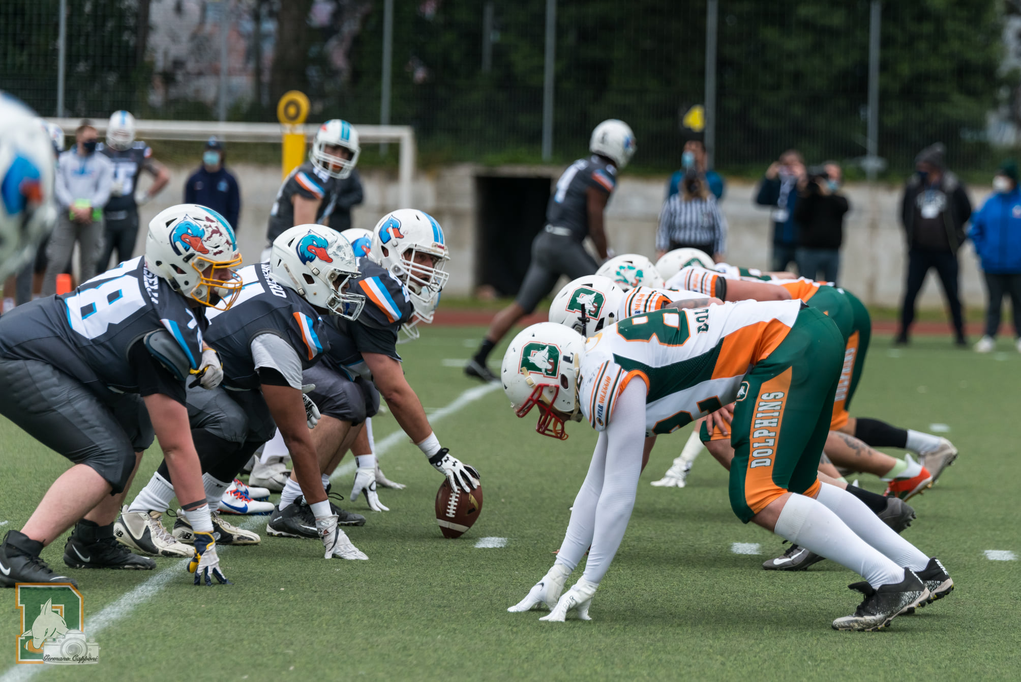 Dolphins: Tutto pronto per il primo match casalingo