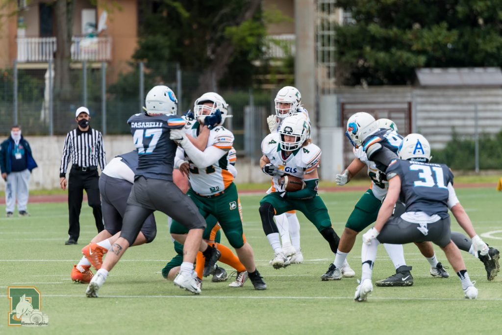 Dolphins: Tutto pronto per il primo match casalingo