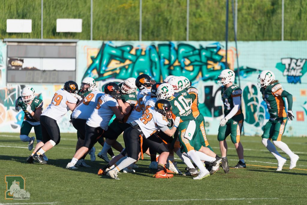I Dolphins restano imbattuti