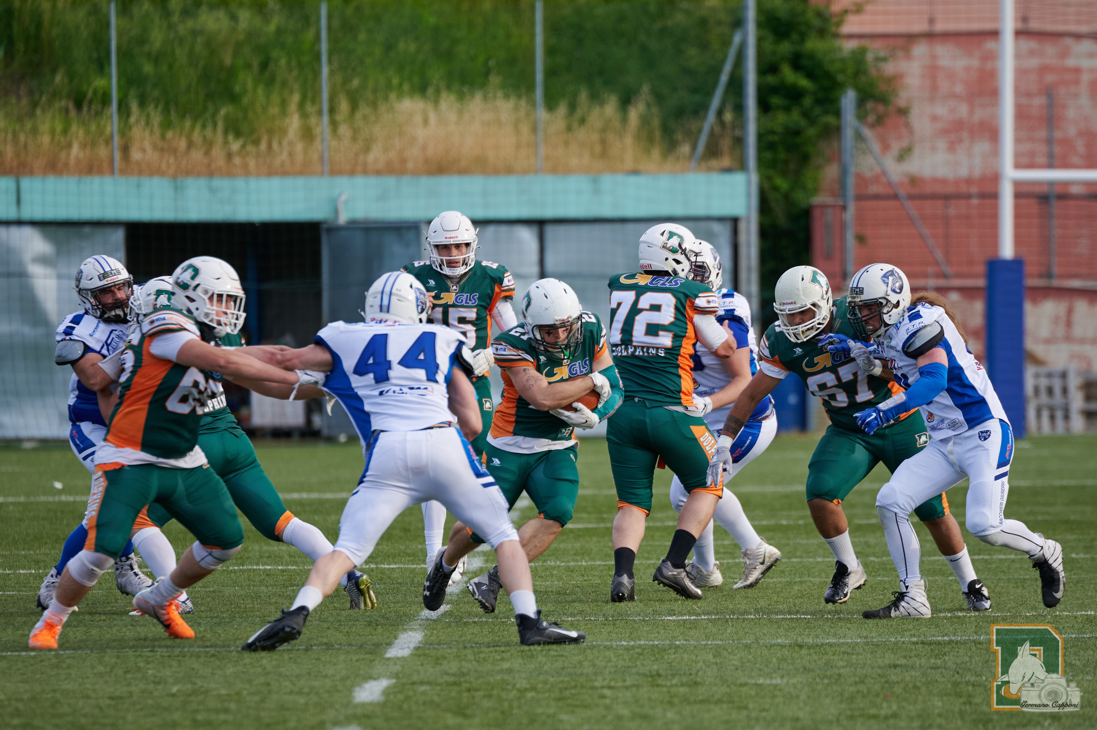 L’orgoglio Dolphins contro i Viola di Hagen