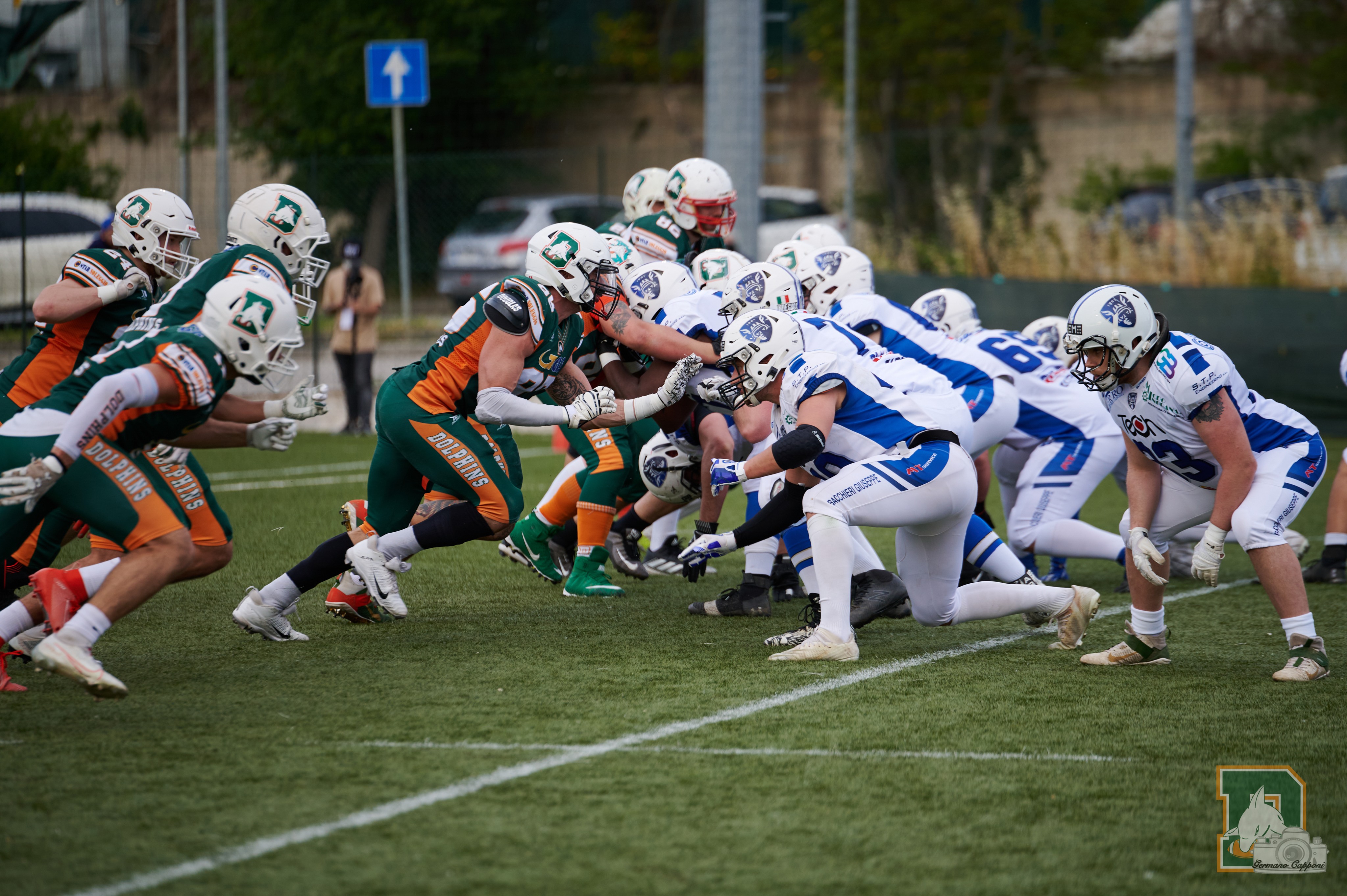 L’orgoglio Dolphins contro i Viola di Hagen
