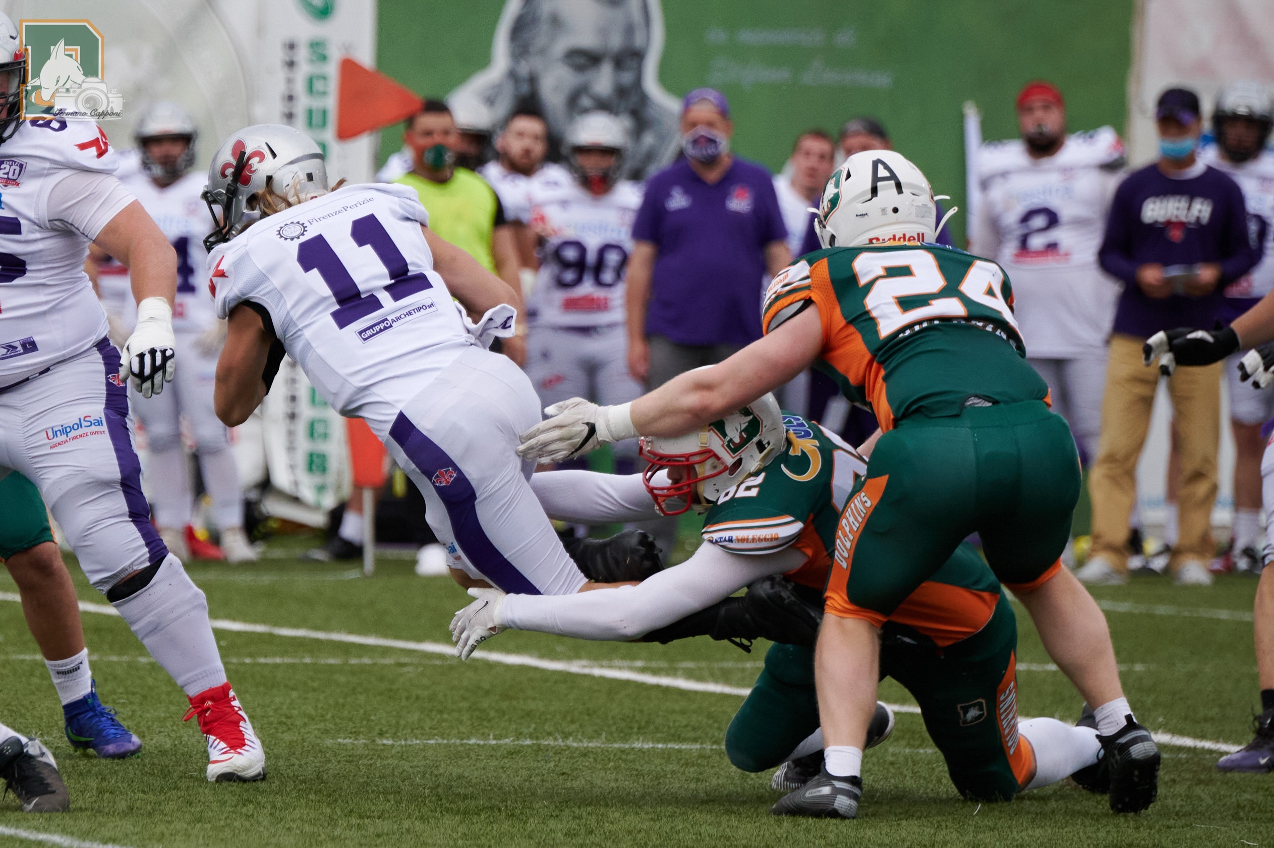 Dolphins: Prova di carattere e vittoria sui Guelfi