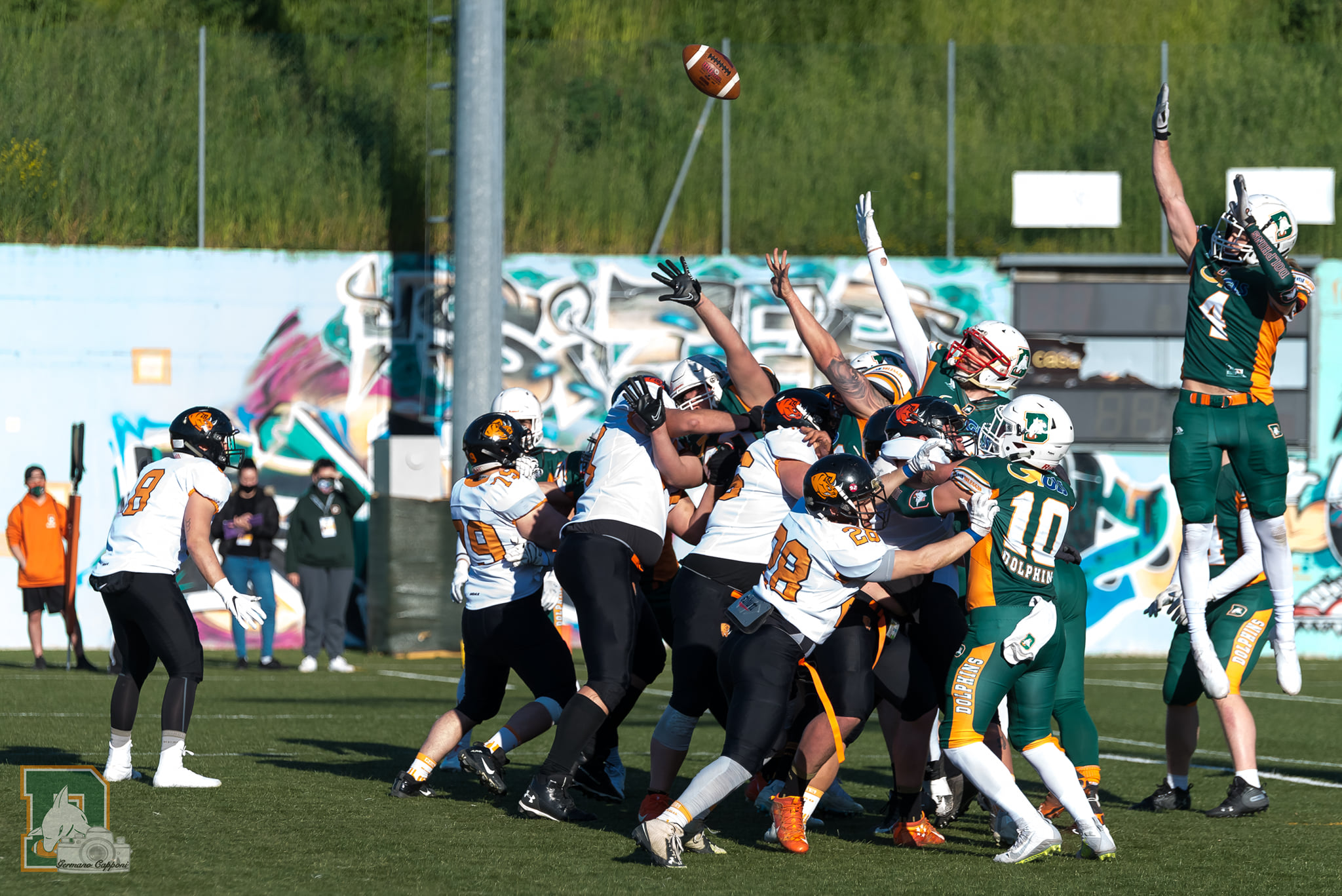 Dolphins: A Parma per far bene