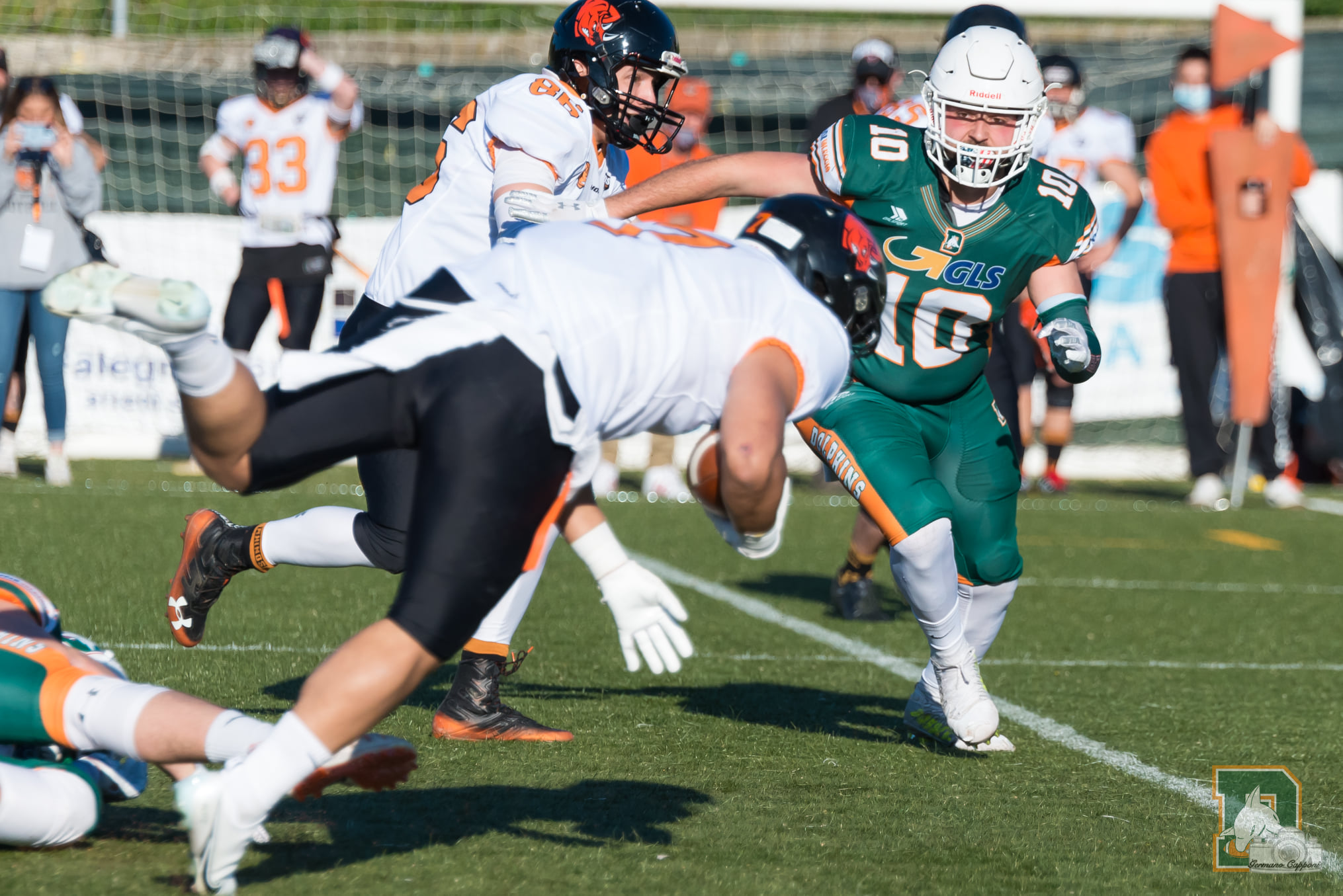 Dolphins: A Parma per far bene
