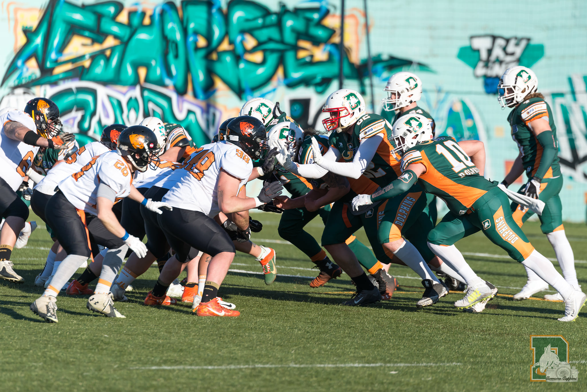 Dolphins: A Parma per far bene