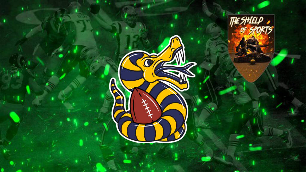 I Vipers Modena parteciperanno alla Prima Divisione FIDAF 2022