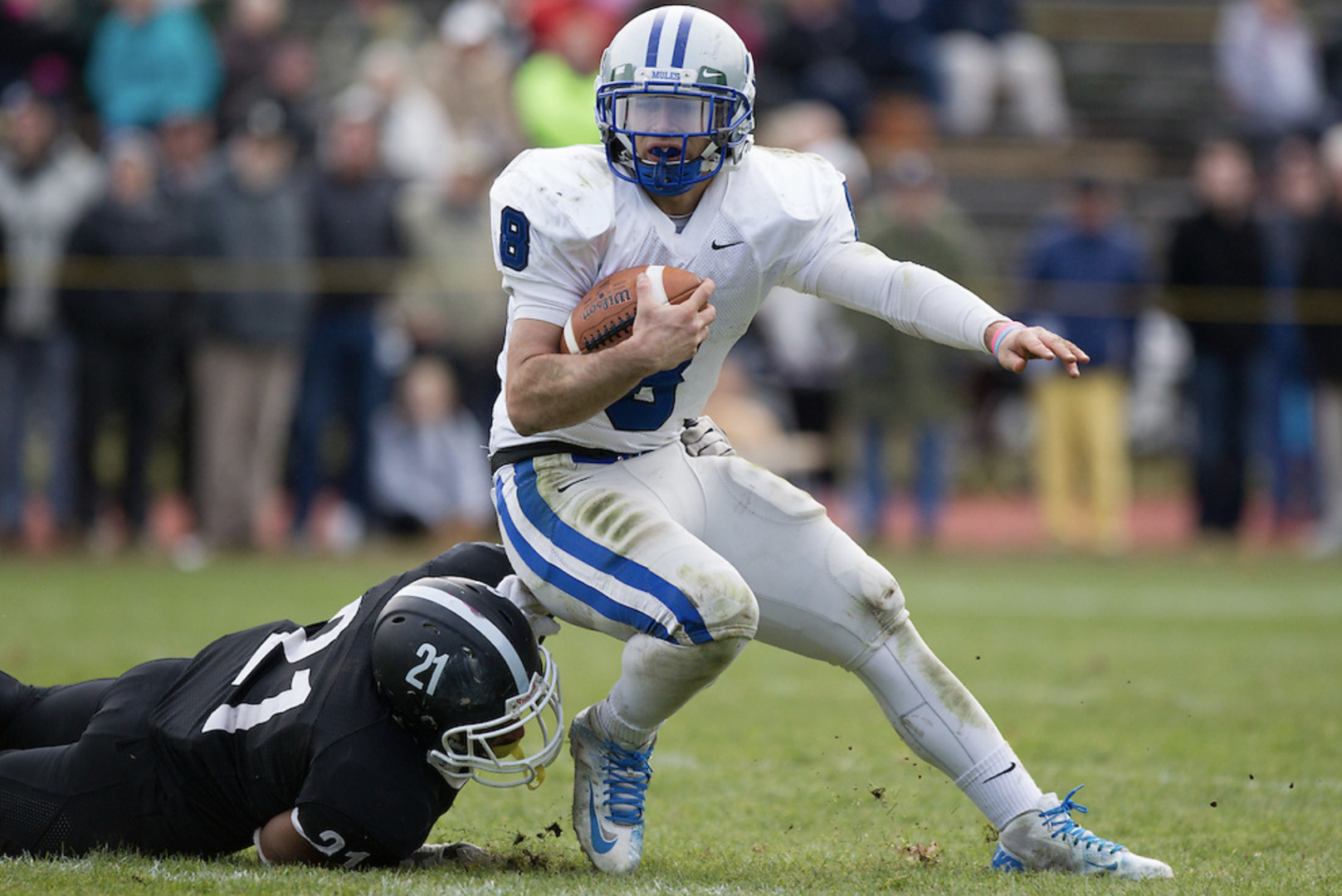Justin Ciero, il nuovo QB degli Agsm Aim Mastini Verona