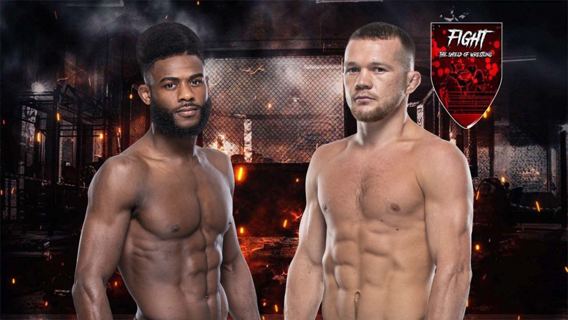 Aljamain Sterling vs. Petr Yan 2 a UFC 272