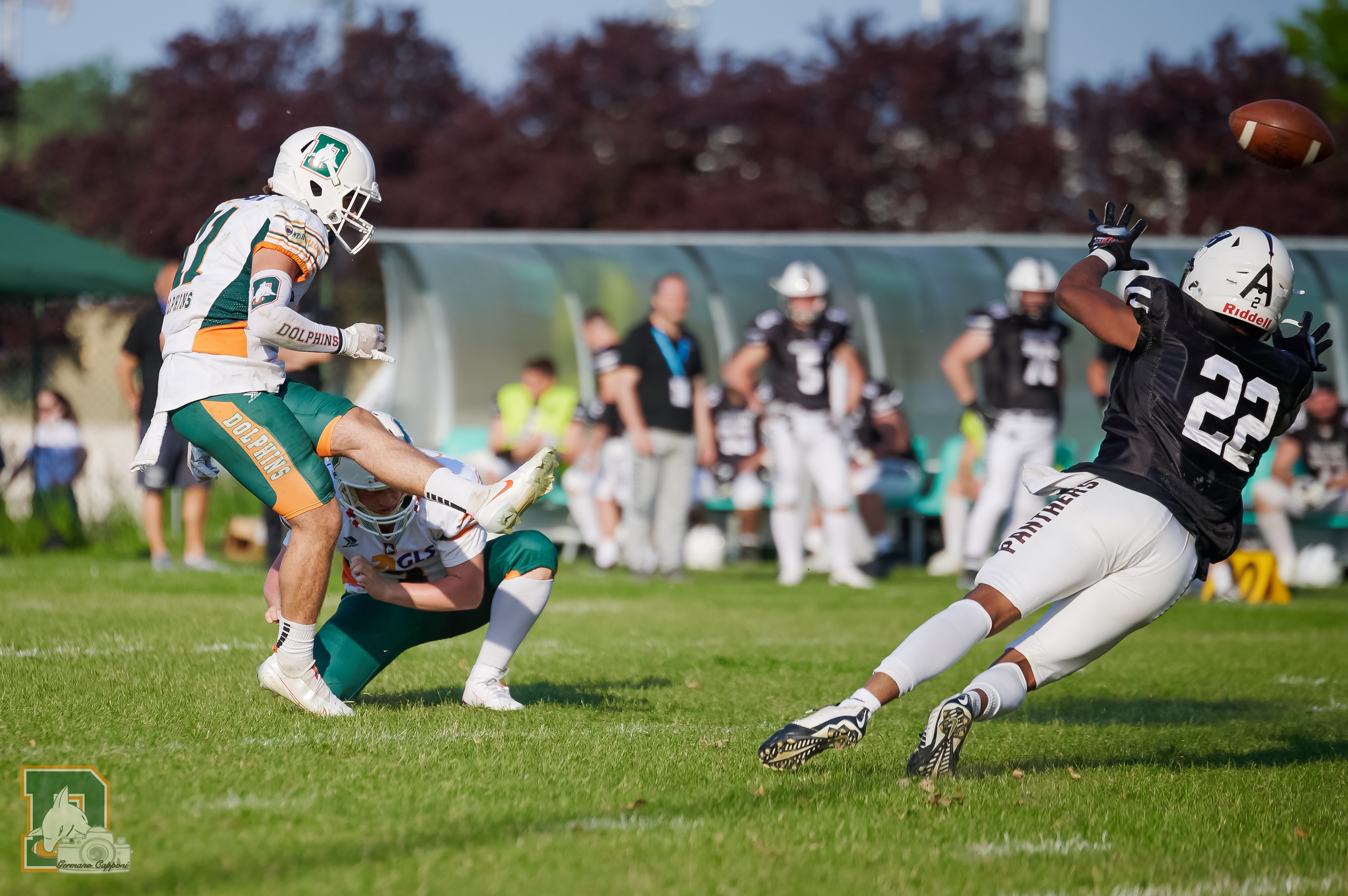 Dolphins: Pronti, partenza, via.