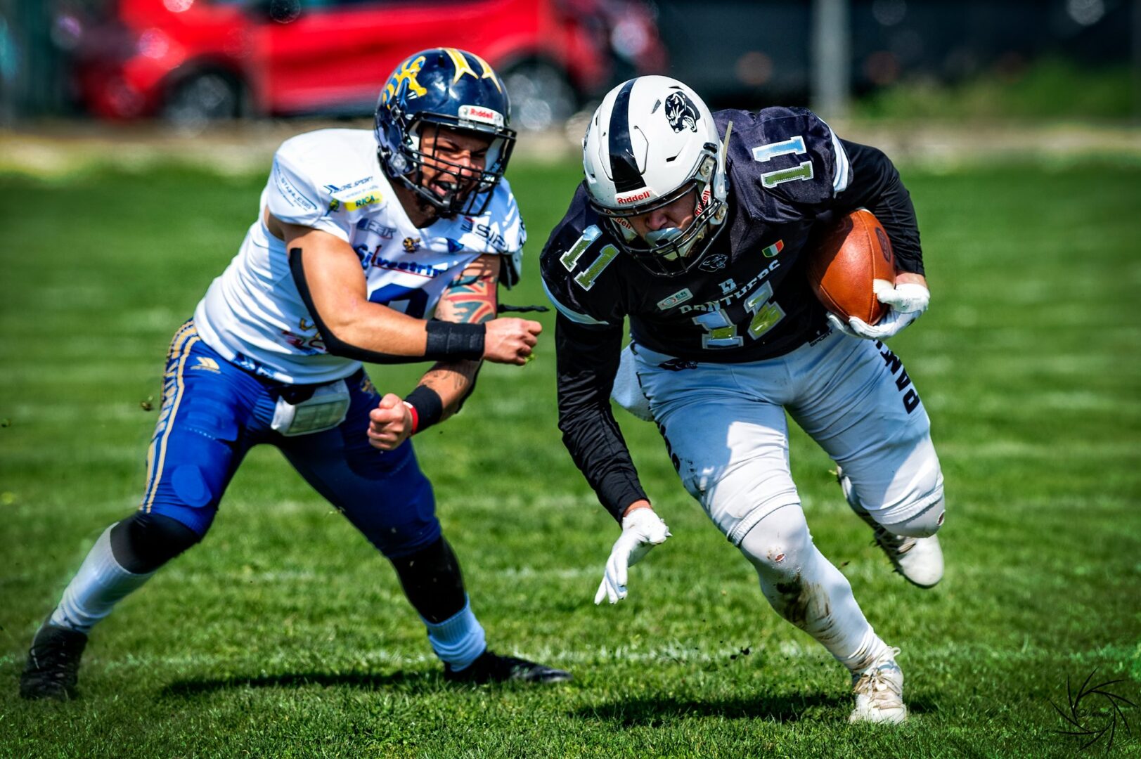 Panthers sconfitti nella prima partita casalinga della stagione Panthers sconfitti nella prima partita casalinga della stagione