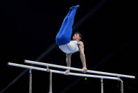 Illia Kovtun Volto Della Determinazione Ginnica Maschile