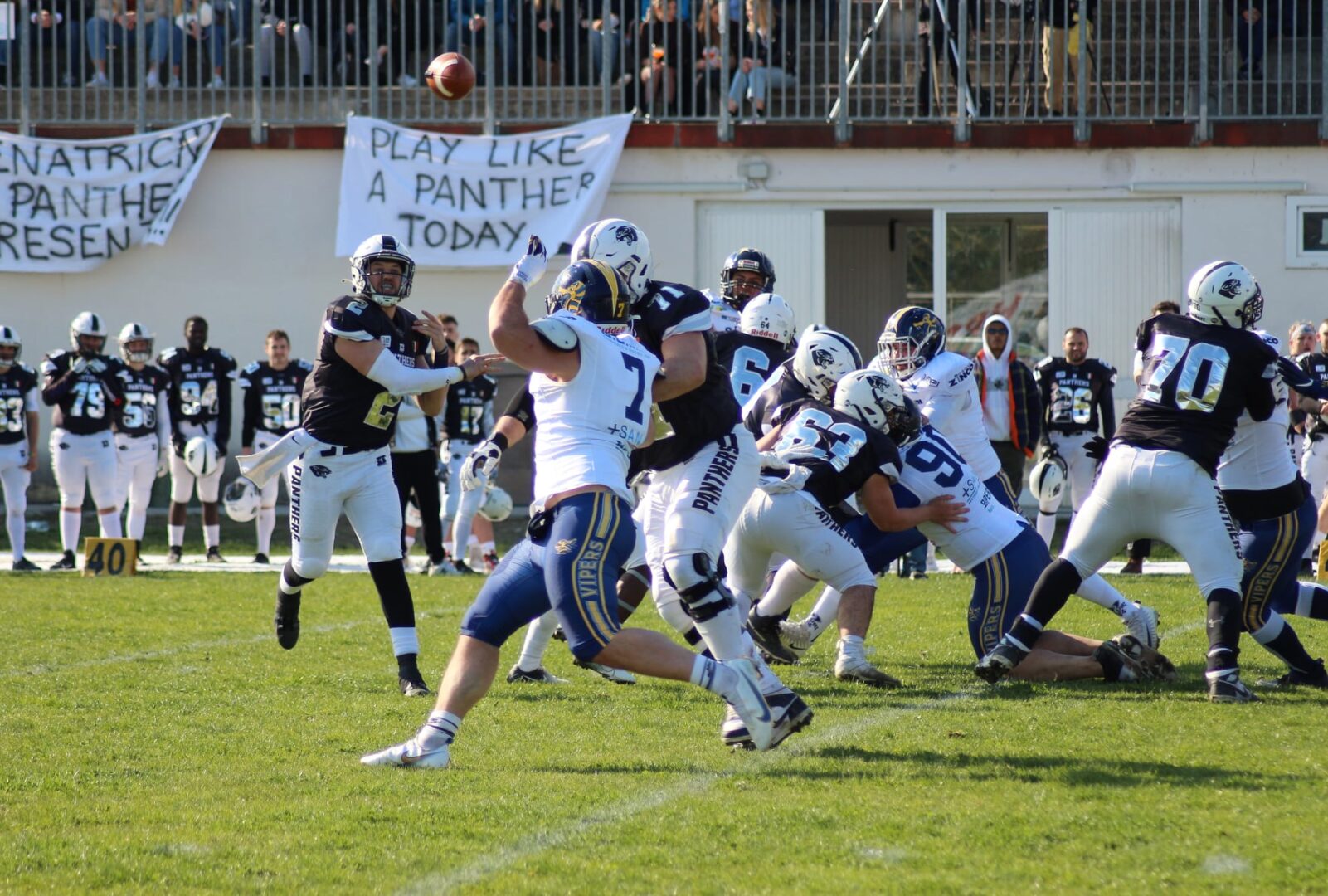 Panthers vs Vipers: Come nei Film! Panthers vs Vipers: Come nei Film!
