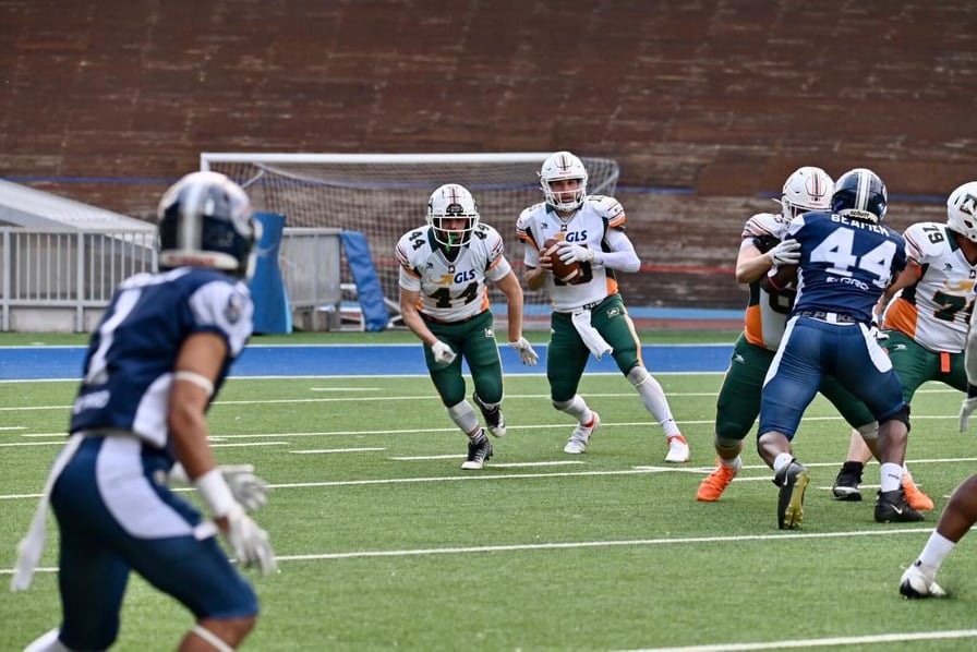 I GLS Dolphins escono dal campo con l’onore delle armi