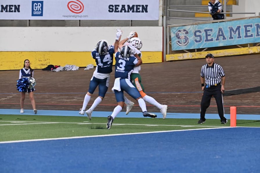 Dolphins: A caccia del sorpasso contro i Vipers Dolphins: A caccia del sorpasso contro i Vipers
