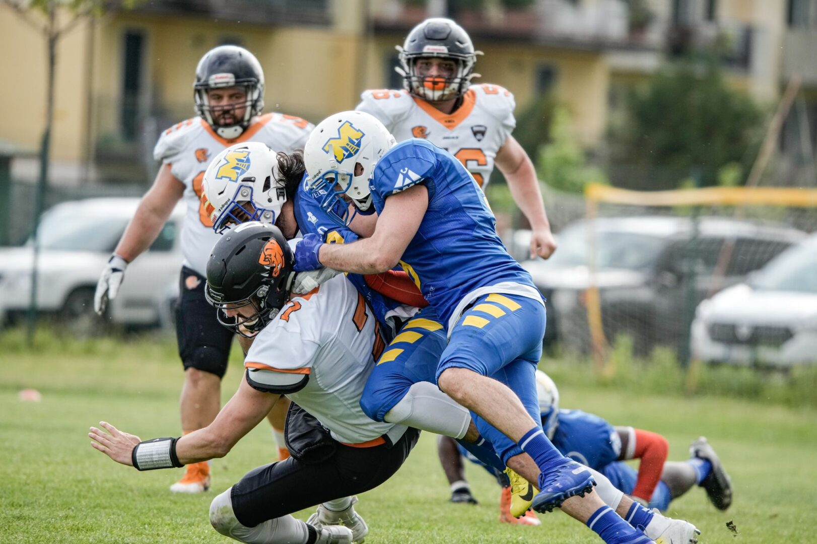 Gli AGMS AIM Mastini sconfitti dai Rhinos Gli AGMS AIM Mastini sconfitti dai Rhinos