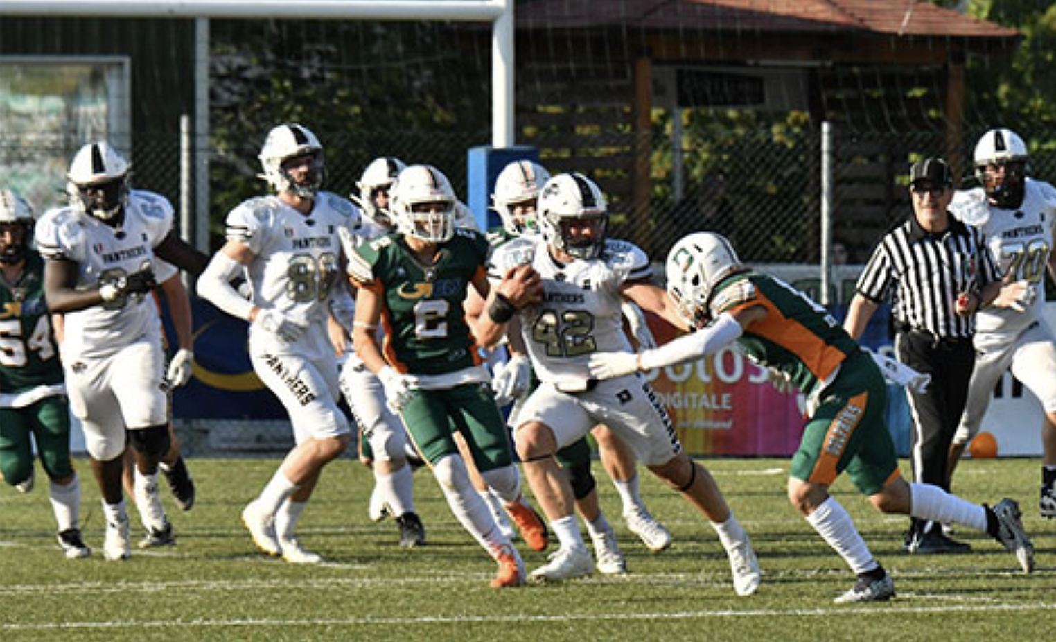 I Panthers vincono la penultima di stagione contro i Dolphins Ancona I Panthers vincono la penultima di stagione contro i Dolphins Ancona