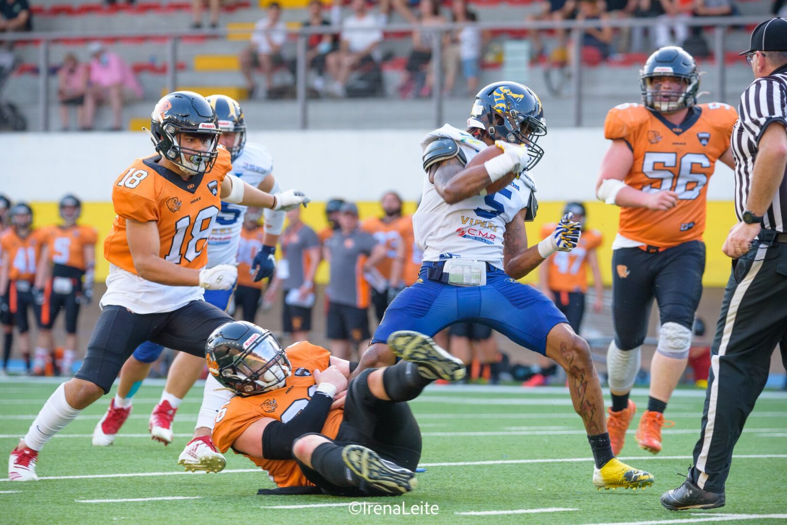 Vipers ancora KO: Sconfitta che brucia contro i Rhinos Vipers ancora KO: Sconfitta che brucia contro i Rhinos