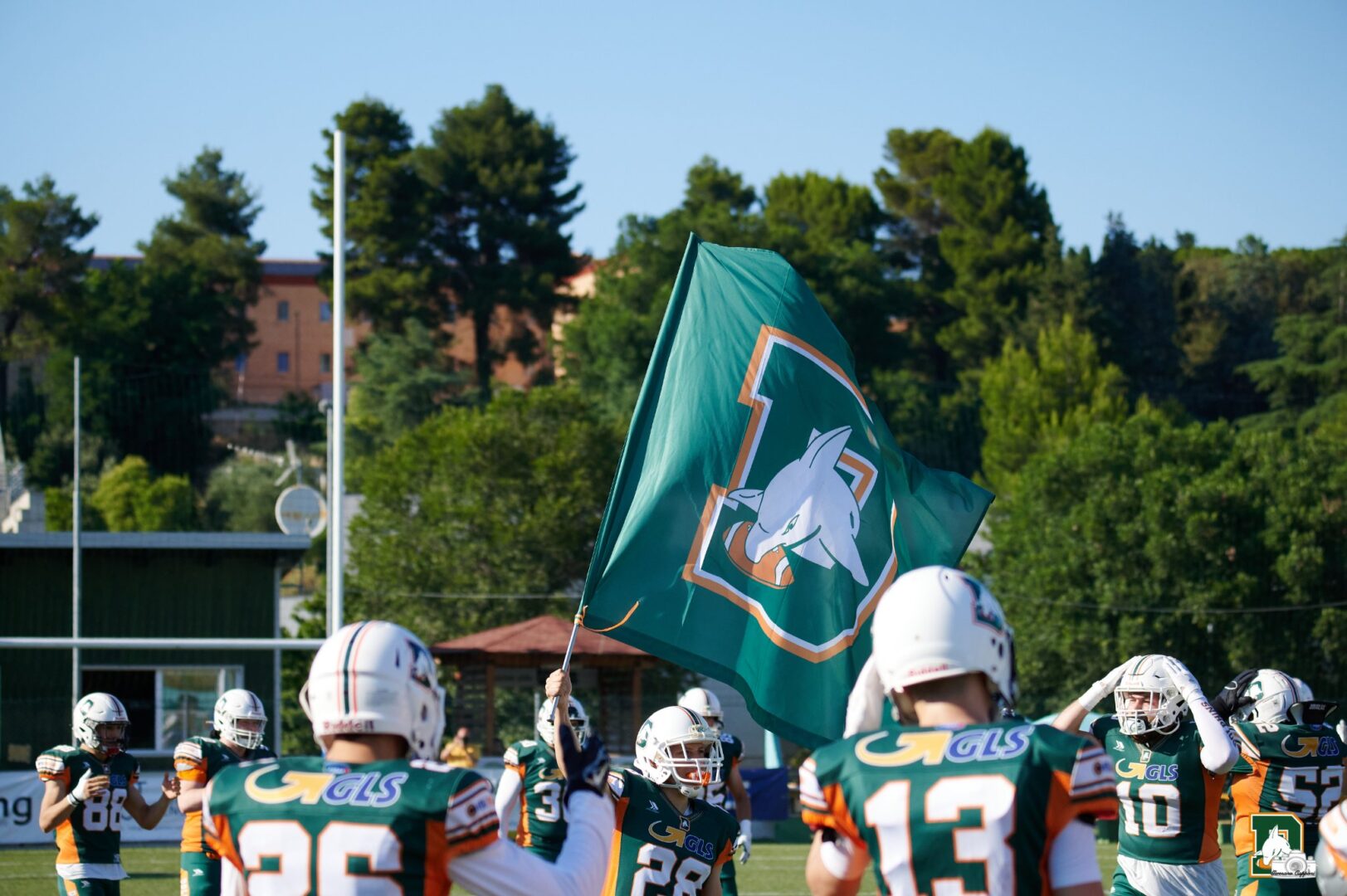 GLS Dolphins Ancona: Coach Rotelli commenta la straordinaria vittoria contro i Vipers Modena GLS Dolphins Ancona: Coach Rotelli commenta la straordinaria vittoria contro i Vipers Modena