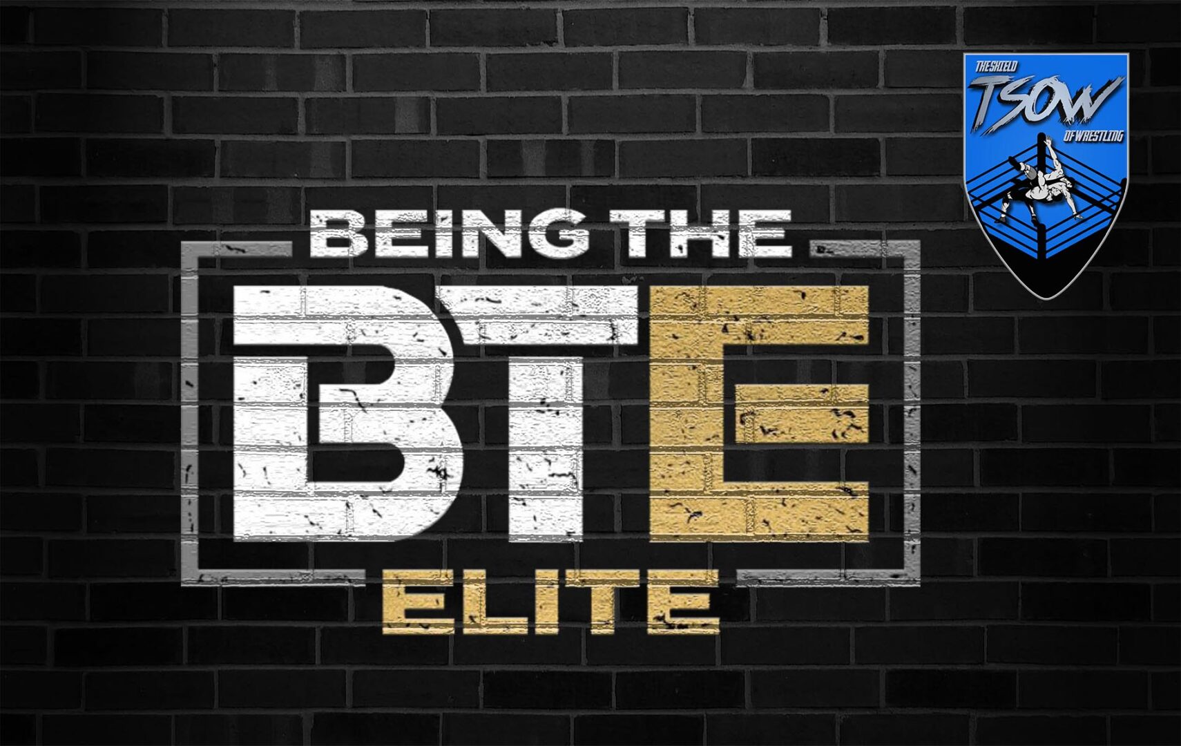 Being The Elite #312 Forbidden Door – Report AEW Being The Elite #312 Forbidden Door – Report AEW
