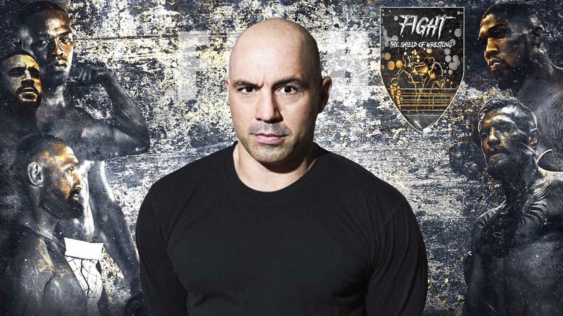 Joe Rogan: il parere sul verdetto del processo Depp – Heard