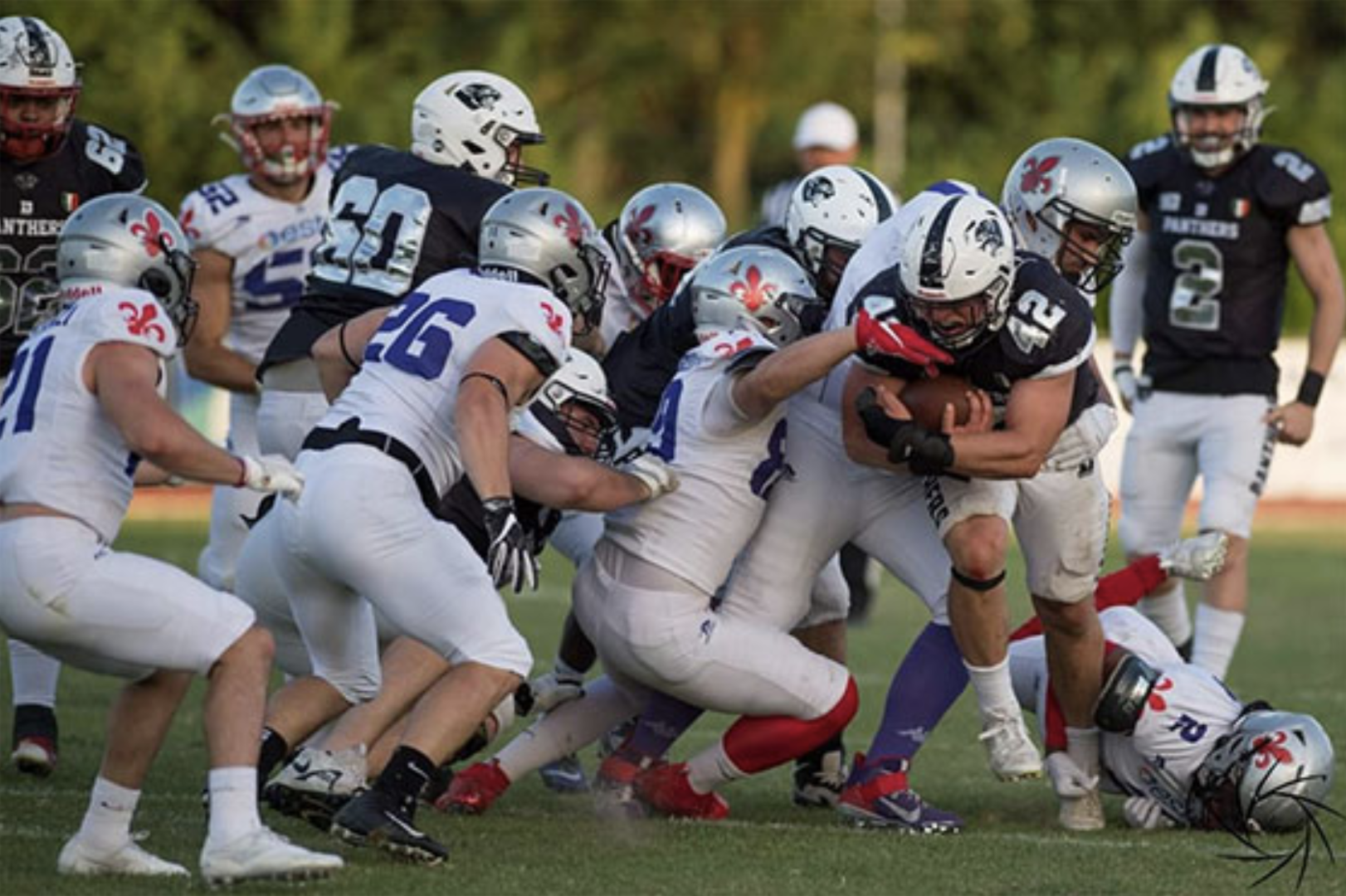 Panthers battuti in semifinale