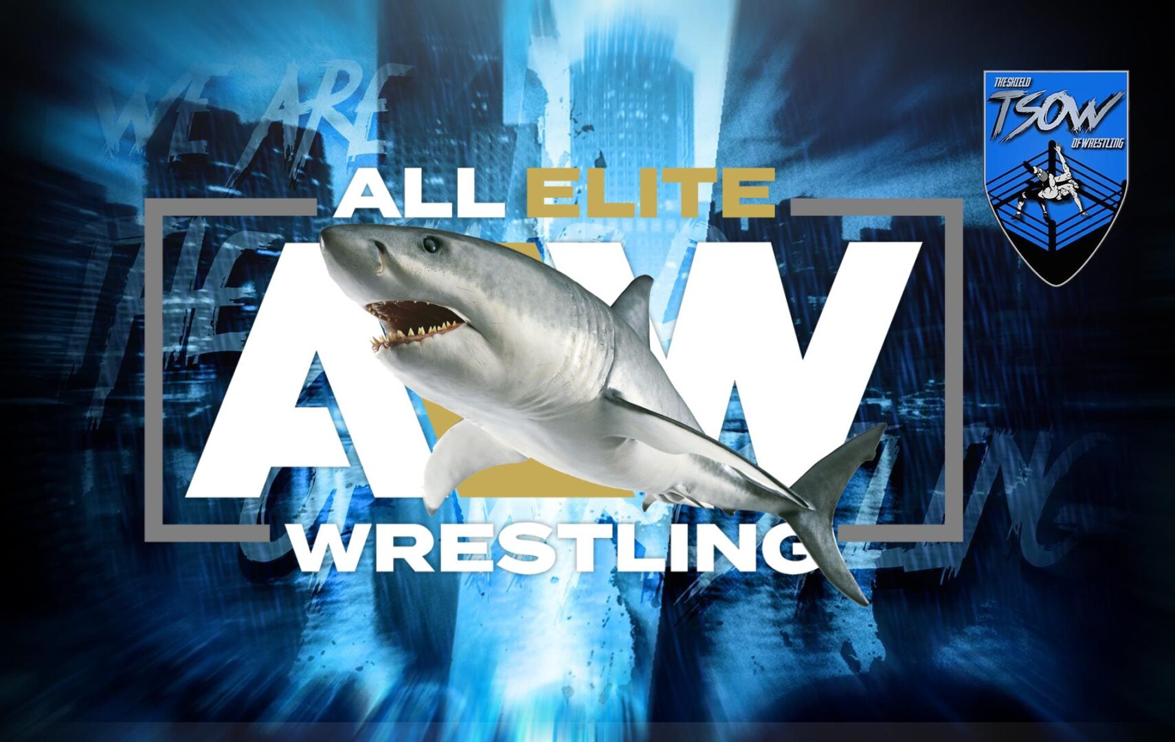AEW: ci sarà un gimmick match per la Shark Week? AEW: ci sarà un gimmick match per la Shark Week?
