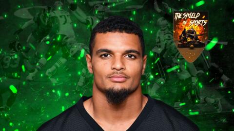 Steelers: firmato quadriennale con Fitzpatrick per 73,6 mln