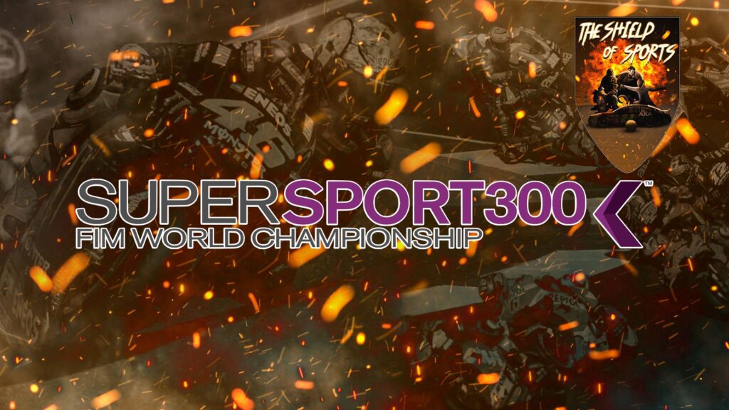 Supersport 300: GP Misano - Victor Steeman primo nelle FP1