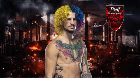 Sean O'Malley vuole Jake Paul contro Jorge Masvidal