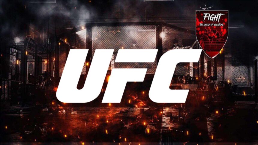 UFC 282: presentata card completa dell'ultima PPV del 2022