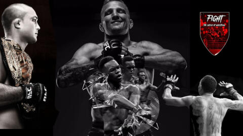 UFC: 4 tentativi falliti per diventare double champ