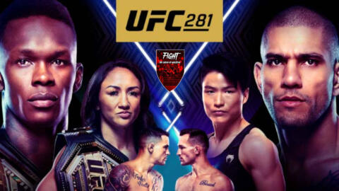 UFC 281: Adesanya vs Pereira risultati