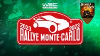 WRC: due spettatori si accoppiano durante la SS2