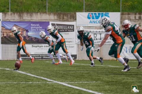 Dolphins: Primo impegno casalingo contro i Ducks