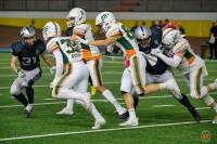 Espugnato il Vigorelli: I GLS Dolphins vincono a Milano