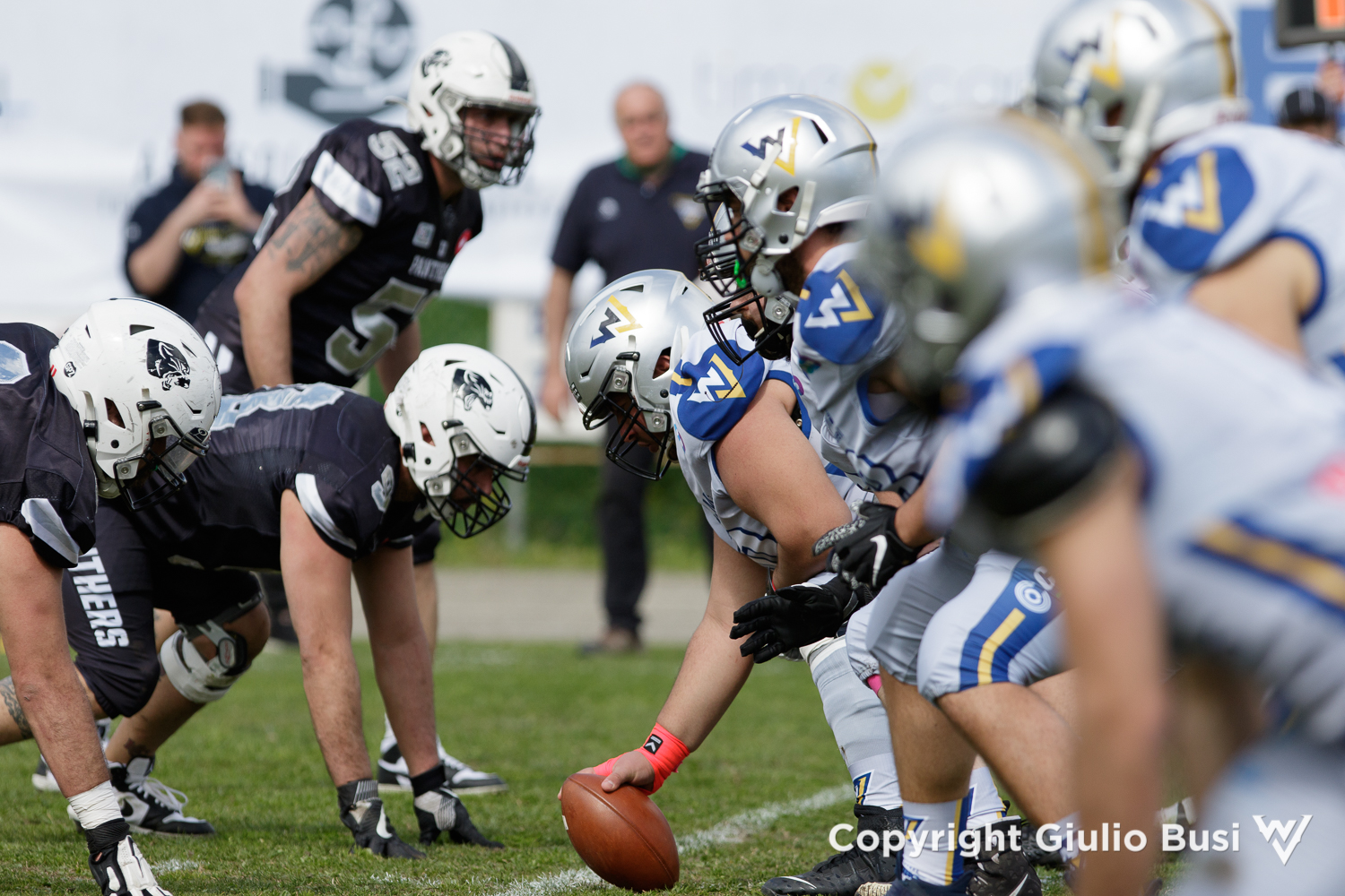 Derby infuocato a Monteveglio, la vittoria va ai Panthers Derby infuocato a Monteveglio, la vittoria va ai Panthers