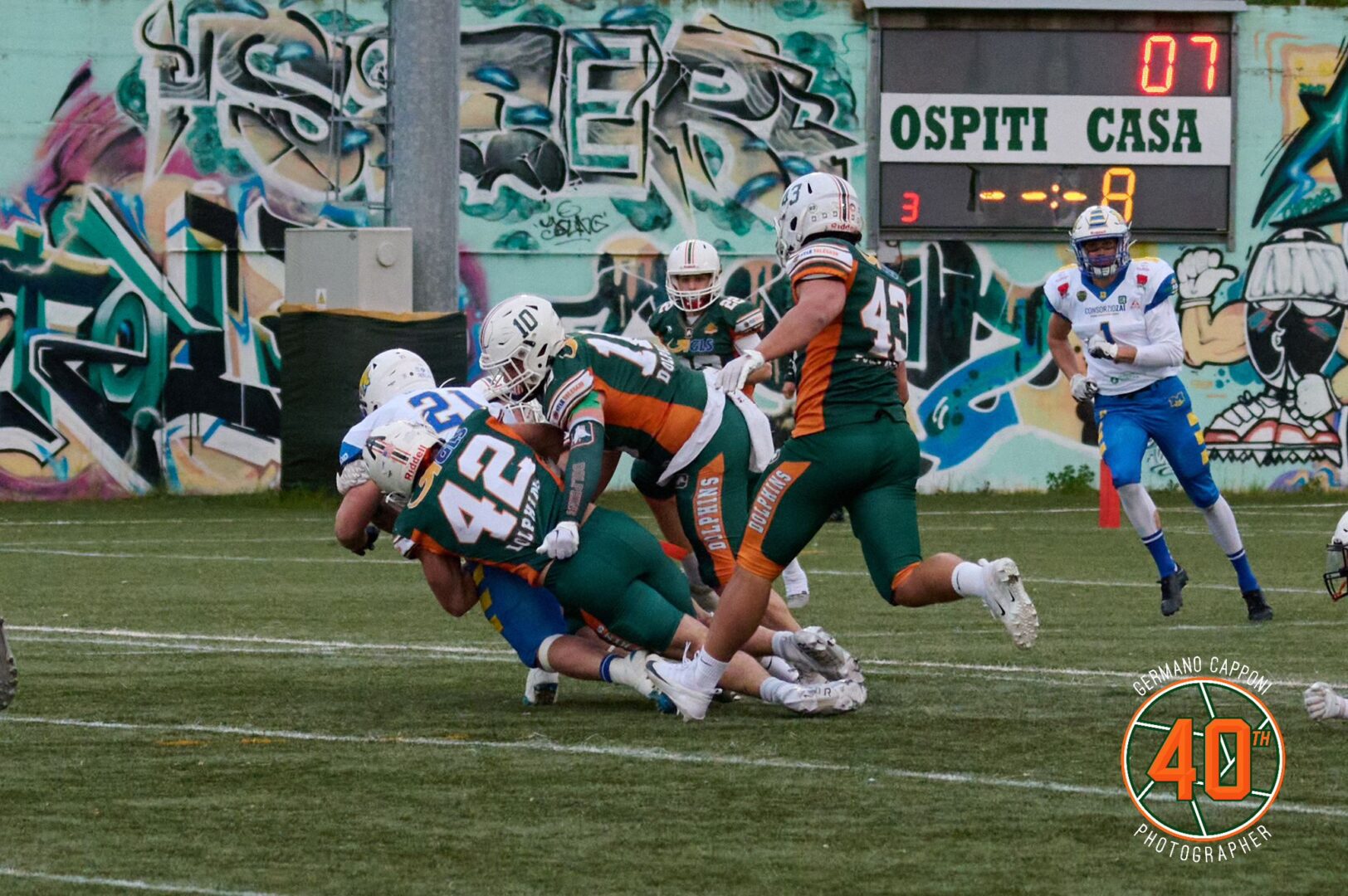 Ancora una vittoria per i Dolphins, dominati i Mastini Ancora una vittoria per i Dolphins, dominati i Mastini