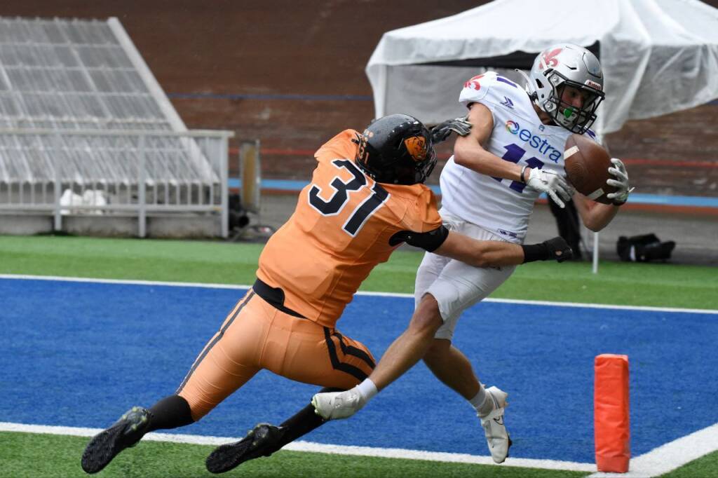 Guelfi, Panthers, Dolphins sul podio, i Ducks fermano la corsa dei Frogs