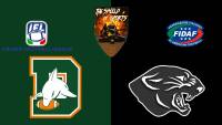 Panthers Parma battono i Dolphins Ancona