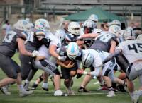 I Panthers vincono contro i Mastini Verona