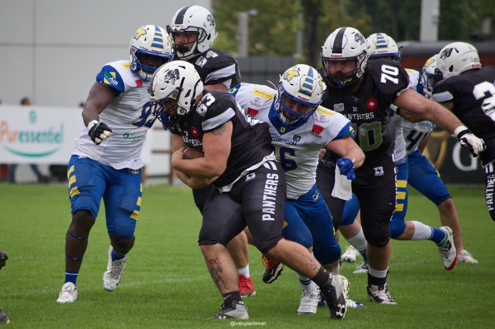 I Panthers vincono contro i Mastini Verona I Panthers vincono contro i Mastini Verona
