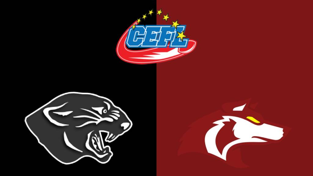 Panthers Parma battono i Beograd Vukovi in CEFL