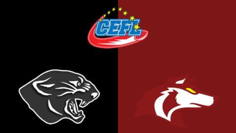 Panthers Parma battono i Beograd Vukovi in CEFL