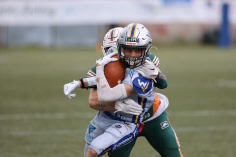 Dolphins: Pronti alla riscossa