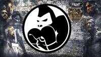 Pugile da Tastiera e la storia del primo match Paraboxing