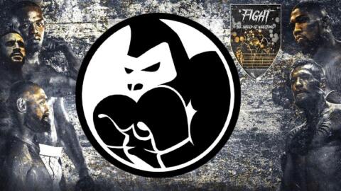 Pugile da Tastiera e la storia del primo match Paraboxing